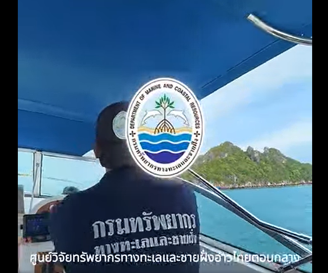ทช. สำรวจแนวปะการังเกาะพะลวย–เกาะพะงัน พบสัญญาณฟื้นตัว พร้อมเก็บกู้ขยะทะเลปกป้องระบบนิเวศใต้ทะเล