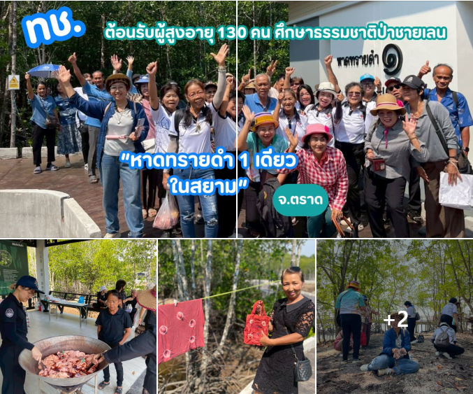 ทช. ต้อนรับผู้สูงอายุ 130 คน ศึกษาธรรมชาติป่าชายเลน “หาดทรายดำ 1 เดียวในสยาม” จ.ตราด