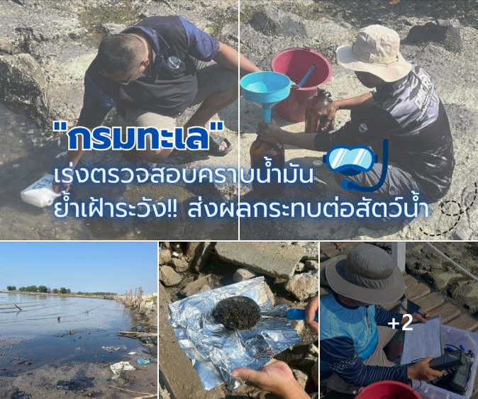 กรมทะเลชายฝั่ง เร่งตรวจสอบคราบน้ำมันบางปู เก็บตัวอย่างวิเคราะห์เข้ม ย้ำ! เฝ้าระวังคุณภาพทะเลอ่าวไทยตอนบน