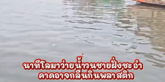 คลิปนาทีโลมาว่ายน้ำวนชายฝั่งชะอำ คาดอาจกลืนกินพลาสติก