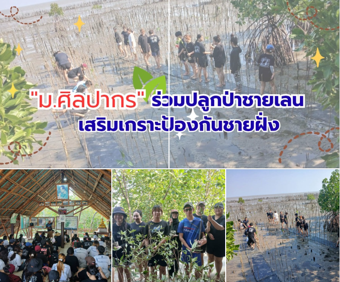 นักศึกษา ม.ศิลปากร ร่วมปลูกป่าชายเลนสมุทรสงคราม เติมชีวิตใหม่ให้ชายฝั่งไทย