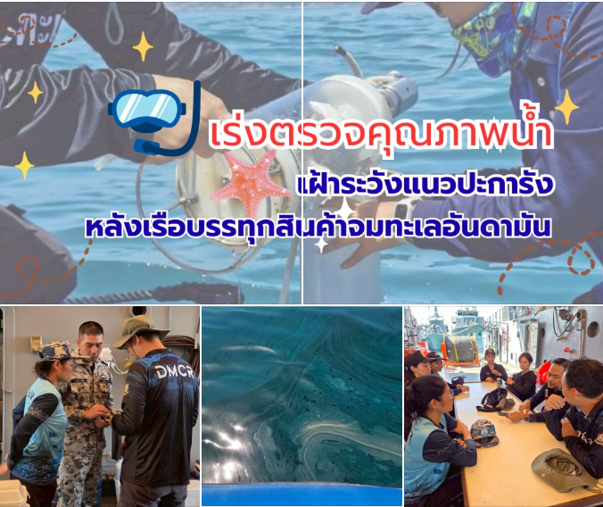 ทช. บูรณาการเร่งตรวจคุณภาพน้ำ–เฝ้าระวังแนวปะการัง หลังสถานการณ์เรือบรรทุกสินค้าจมทะเลอันดามัน