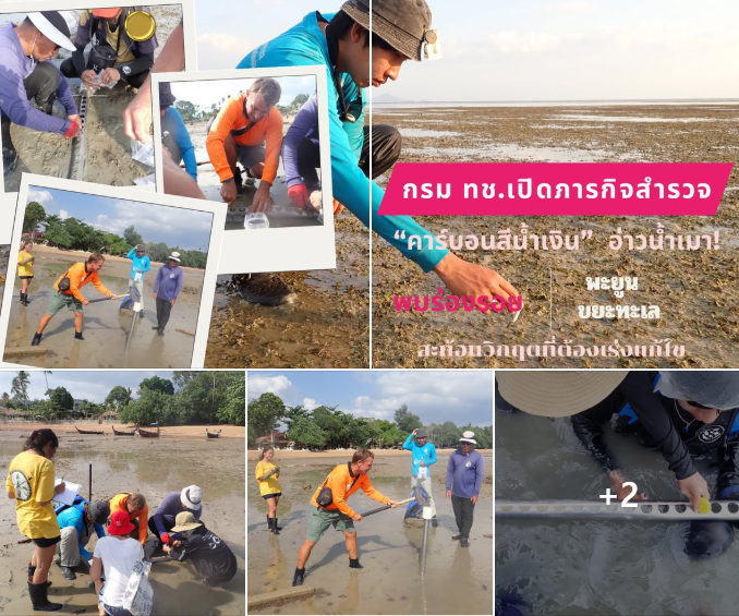 กรม ทช. เปิดภารกิจสำรวจ “คาร์บอนสีน้ำเงิน” อ่าวน้ำเมา! พบร่องรอยพะยูน-ขยะทะเล สะท้อนวิกฤตที่ต้องเร่งแก้ไข