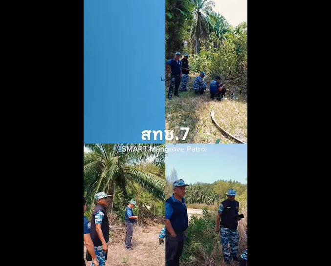 ทช. ใช้โดรนลาดตระเวนป่าชายเลนตรัง ตรวจเข้มพื้นที่เสี่ยง ไม่พบการบุกรุก