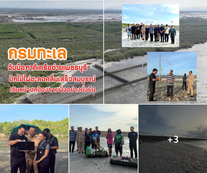 กรมทะเล จับมือภาคีเครือข่ายเพชรบุรี ปักไม้ไผ่ชะลอคลื่นเสร็จสมบูรณ์ เดินหน้าปกป้องชายฝั่งอย่างยั่งยืน