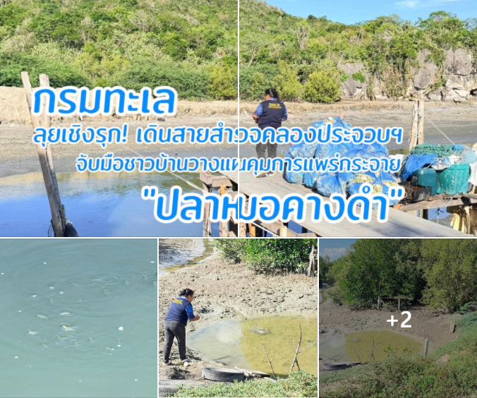 กรมทะเล ลุยเชิงรุก! เดินสายสำรวจคลองประจวบฯ จับมือชาวบ้านวางแผนคุมการแพร่กระจาย “ปลาหมอคางดำ”