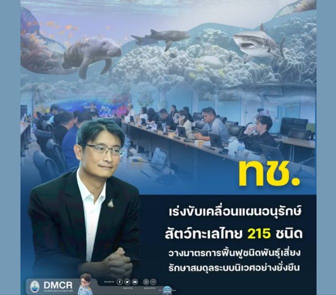 ทช. เร่งขับเคลื่อนแผนอนุรักษ์สัตว์ทะเลไทย 215 ชนิด วางมาตรการฟื้นฟูชนิดพันธุ์เสี่ยง รักษาสมดุลระบบนิเวศอย่างยั่งยืน