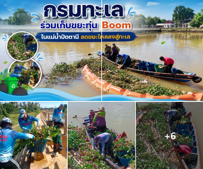 กรมทะเล ร่วมเก็บขยะทุ่น Boom ในแม่น้ำปัตตานี ลดขยะไหลลงสู่ทะเล