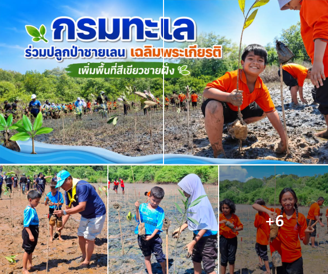กรมทะเล ร่วมปลูกป่าชายเลนเฉลิมพระเกียรติ เพิ่มพื้นที่สีเขียวชายฝั่ง