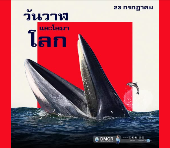 23 กรกฎาคม วันวาฬและโลมาโลก (World Whale and Dolphin Day)