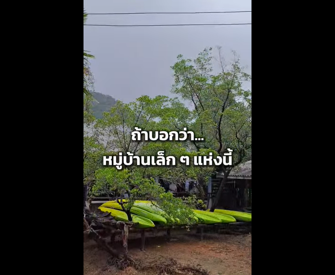 จากป่าเสื่อมโทรม...สู่ป่าชายเลนแห่งอนาคต