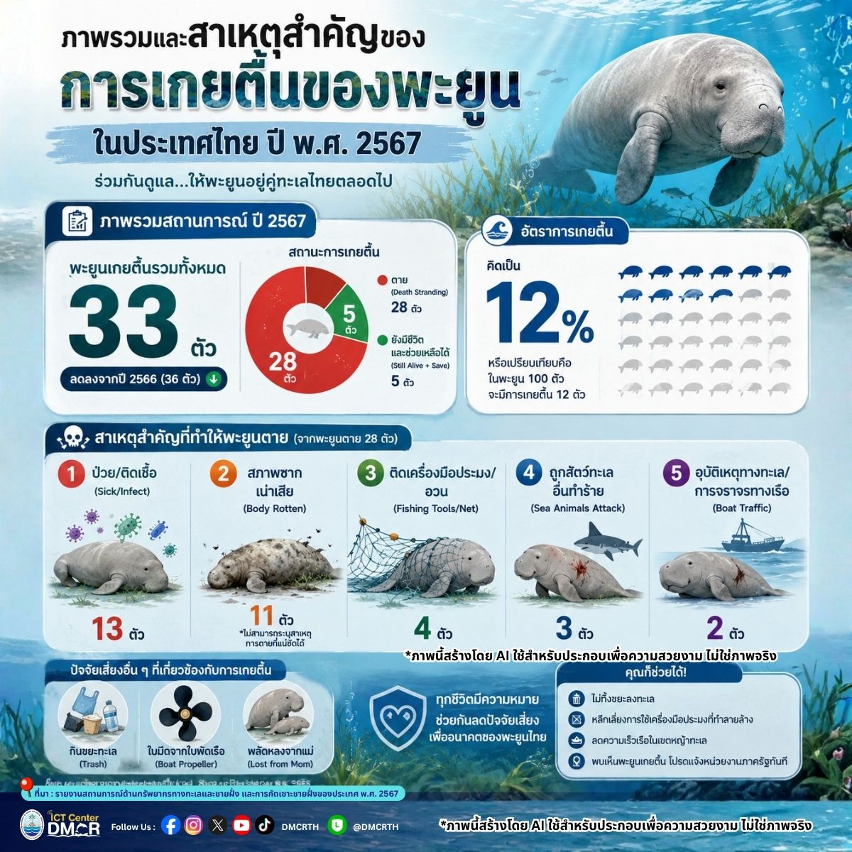 เปิดสถิติพะยูนเกยตื้นปี 2567 ยอดรวม 33 ตัว ลดลงจากปีก่อน เผย "ป่วย-ติดเชื้อ" เป็นสาเหตุหลักอันดับหนึ่ง