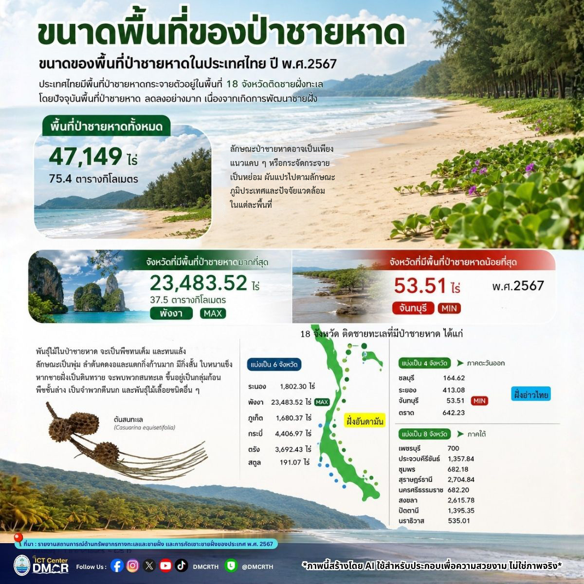วิกฤตป่าชายหาดไทยลดฮวบ! ปี 2567 เหลือเพียง 4.7 หมื่นไร่ ชี้ "พังงา" ครองแชมป์พื้นที่มากที่สุด