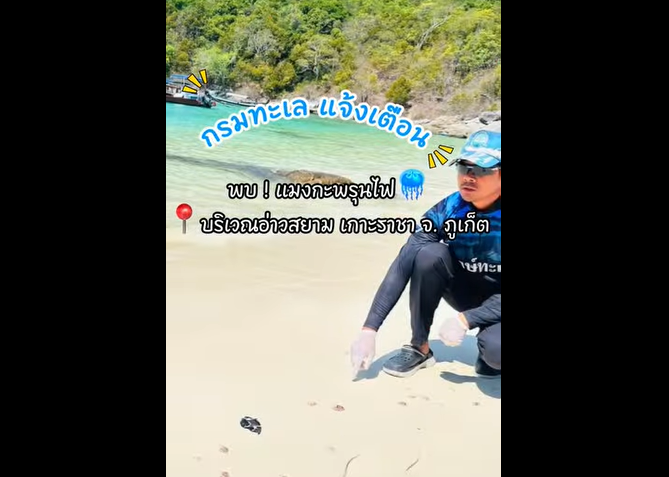 รมว.ทส. ห่วงใยนักท่องเที่ยว สั่ง ทช. เร่งแจ้งเตือนแมงกะพรุนไฟ เกาะราชาใหญ่