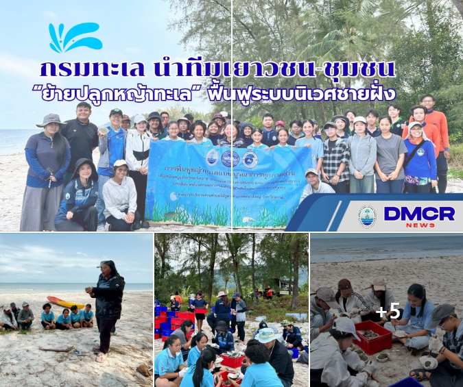 กรมทะเล นำทีมเยาวชน-ชุมชน ฟื้นฟูหญ้าทะเลชายหาดไม้รูด