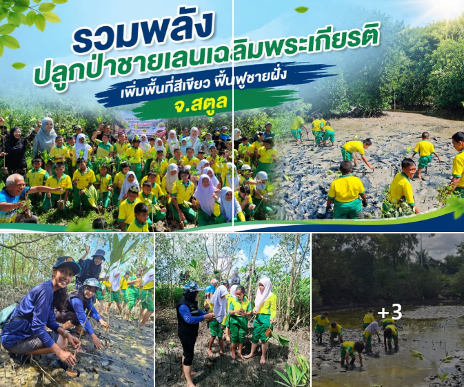 กรมทะเล รวมพลังปลูกป่าชายเลนเฉลิมพระเกียรติ สืบสานแนวพระราชดำริ สร้างผืนป่าเพื่อทะเลไทยที่ยั่งยืน