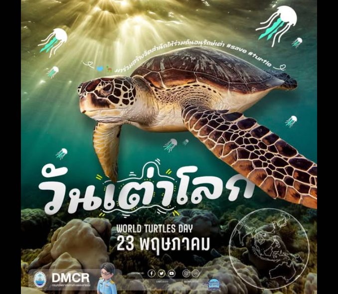 23 พฤษภาคม “วันเต่าโลก” ชวนมาร่วมกันอนุรักษ์เต่า