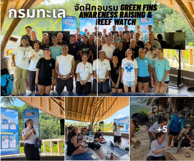 กรมทะเลชายฝั่ง จัดฝึกอบรม Green fins Awareness raising & Reef watch สำหรับผู้ประกอบการร้านดำน้ำและเจ้าหน้าที่ร้านดำน้ำ ณ ศาลาปันรักษ์ Ban’s Diving Resort เกาะเต่า จังหวัดสุราษฎร์ธานี