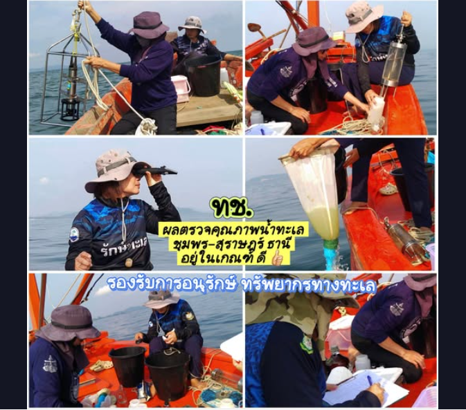 ทช. ตรวจคุณภาพน้ำทะเลชุมพร–สุราษฎร์ธานี อยู่ในเกณฑ์ดี รองรับการอนุรักษ์ทรัพยากรทางทะเล
