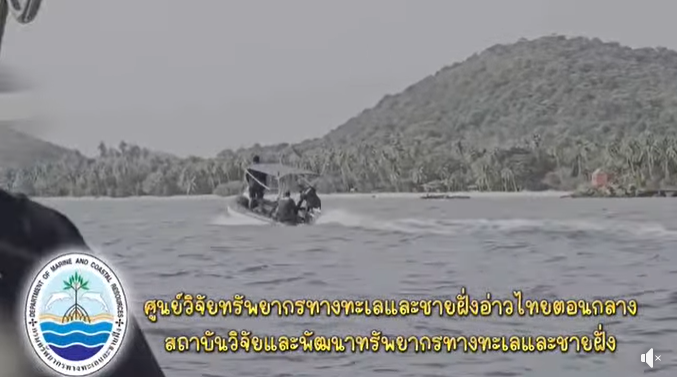 กรมทะเล สำรวจปะการังเกาะสมุย พบความหลากหลายทางชีวภาพ พร้อมติดตามความเสี่ยงปะการังฟอกขาว