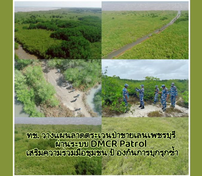 ทช. วางแผนลาดตระเวนป่าชายเลนเพชรบุรี ผ่านระบบ DMCR Patrol เสริมความร่วมมือชุมชน ป้องกันการบุกรุกซ้ำ