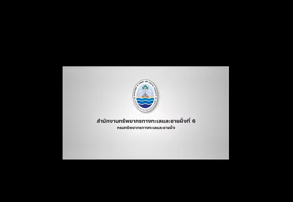 เฮลั่น..เต่ามะเฟืองขึ้นวางไข่ จำนวน 91 ฟอง ณ หาดบางหลุด อำเภอตะกั่วป่า จังหวัดพังงา