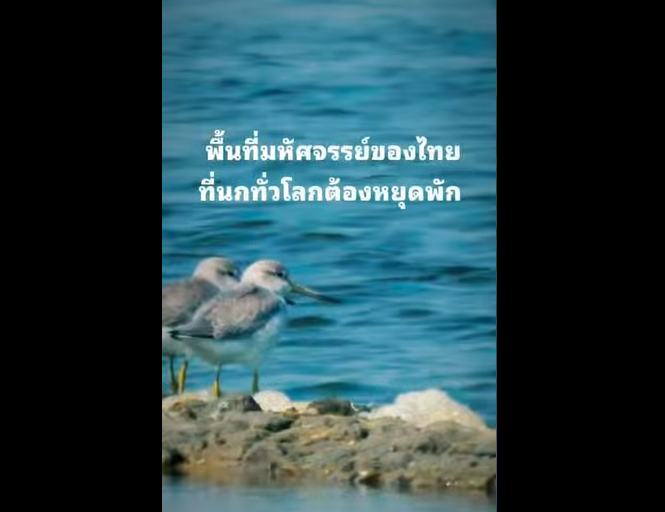 เพชรบุรีมีดีกว่าที่คิด...