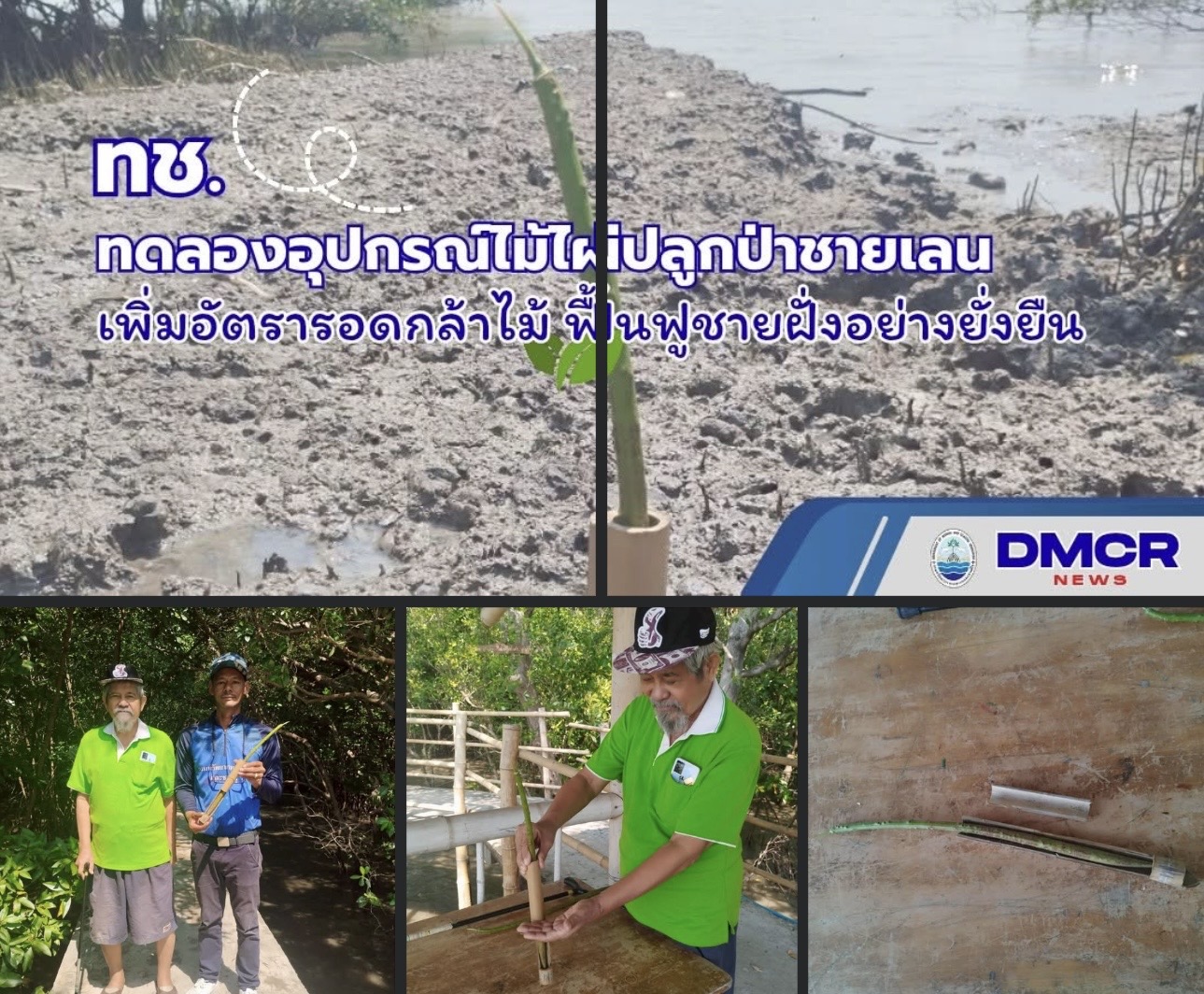 ทช. ทดลองอุปกรณ์ไม้ไผ่ปลูกป่าชายเลน นวัตกรรมช่วยป้องกันคลื่น เพิ่มอัตรารอดกล้าไม้ ฟื้นฟูชายฝั่งอย่างยั่งยืน