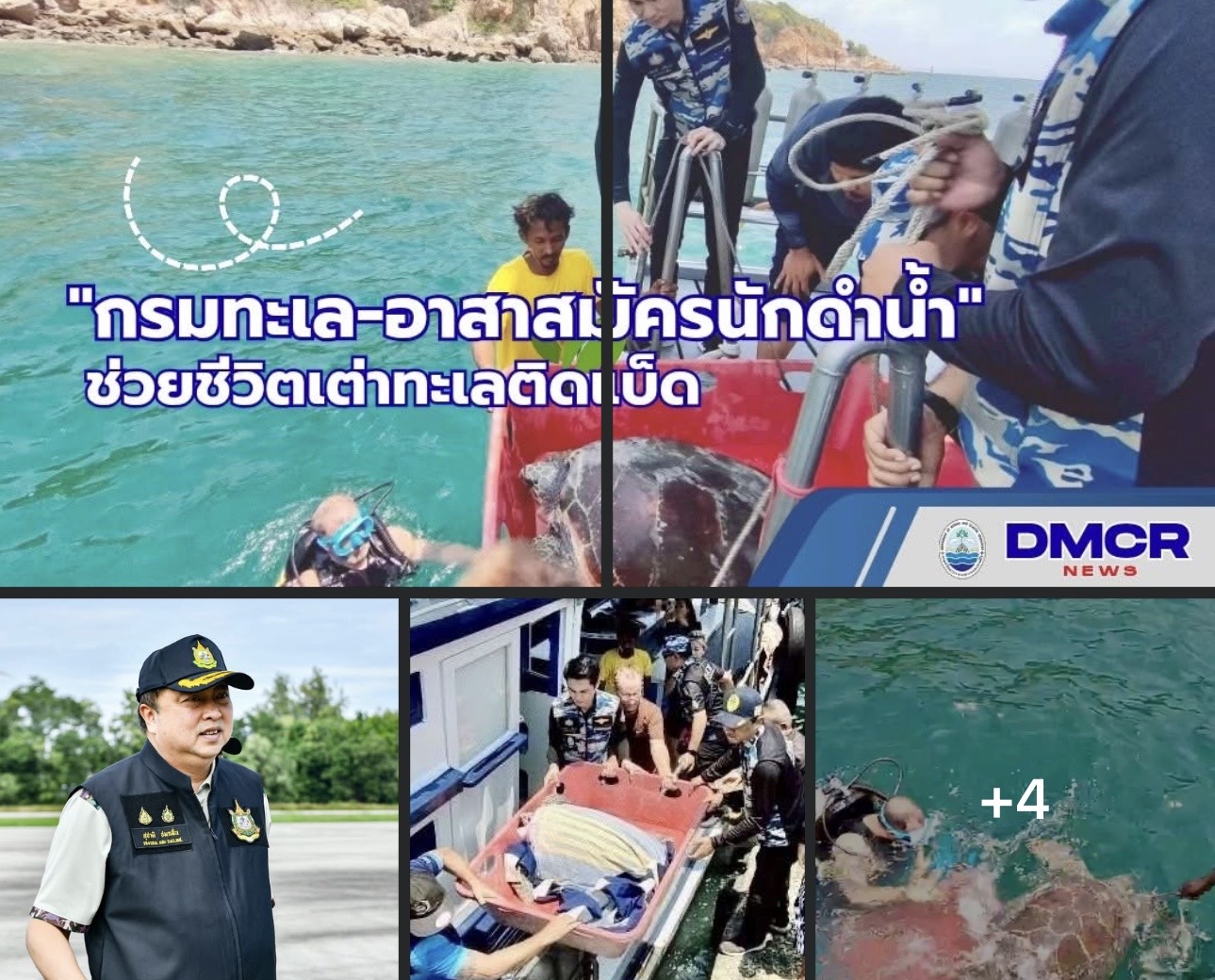 กรมทะเล-เครือข่ายอาสาสมัครนักดำน้ำ จ.ชลบุรี ช่วยชีวิตเต่าทะเลติดเบ็ด ผ่าตัดรักษาจนหาย ก่อนปล่อยคืนสู่ทะเล