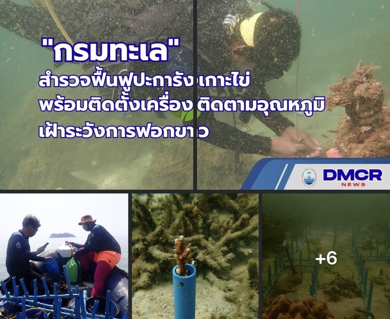 กรมทะเล สำรวจฟื้นฟูปะการังเกาะไข่ พบปะการังฟื้นตัวดี พร้อมติดตั้งเครื่องติดตามอุณหภูมิเฝ้าระวังปะการังฟอกขาว