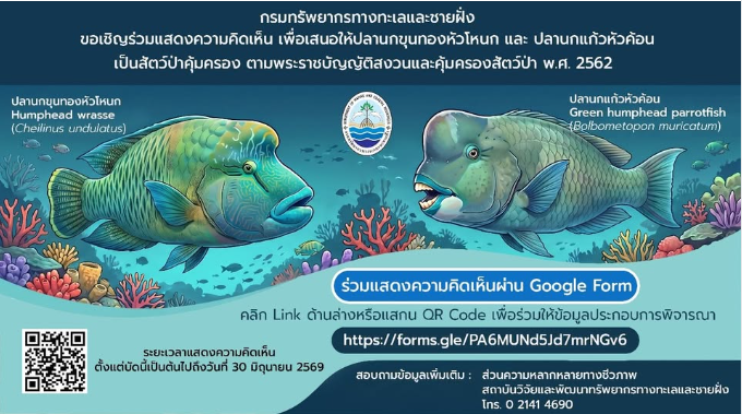 เชิญทุกท่านร่วมเป็นเสียงสำคัญ เพื่ออนาคตของท้องทะเลไทย