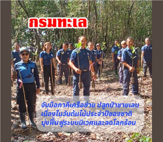 กรมทะเล จับมือภาคีเครือข่าย ปลูกป่าชายเลน เนื่องในวันต้นไม้ประจำปีของชาติ มุ่งฟื้นฟูระบบนิเวศและลดโลกร้อน