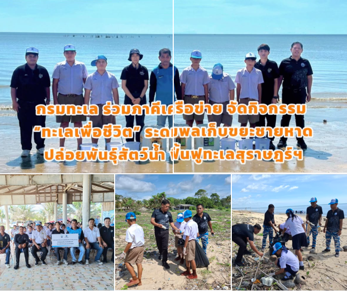 กรมทะเล ร่วมภาคีเครือข่าย จัดกิจกรรม “ทะเลเพื่อชีวิต” ระดมพลเก็บขยะชายหาดปล่อยพันธุ์สัตว์น้ำ ฟื้นฟูทะเลสุราษฎร์ฯ