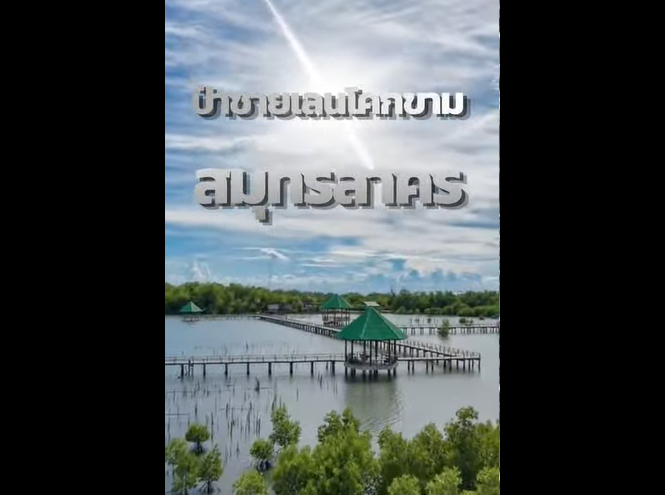 รวมพลังอนุรักษ์ป่าชายเลนโคกขาม รณรงค์ลดขยะ ใช้เชือกปอแทนเชือกฟาง พร้อมปล่อยปูคืนสู่ธรรมชาติ