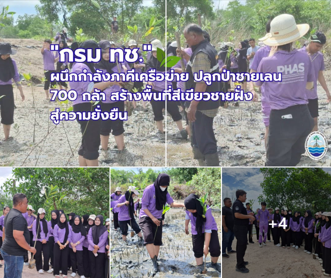 กรม ทช. ผนึกกำลังภาคีเครือข่าย ปลูกป่าชายเลน 700 กล้า สร้างพื้นที่สีเขียวชายฝั่งสู่ความยั่งยืน