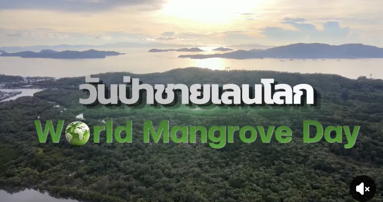 กรมทรัพยากรทางทะเลและชายฝั่งประกาศเจตนารมณ์เชิงสัญลักษณ์ปลูกจิตสำนึกรักษาป่าชายเลน