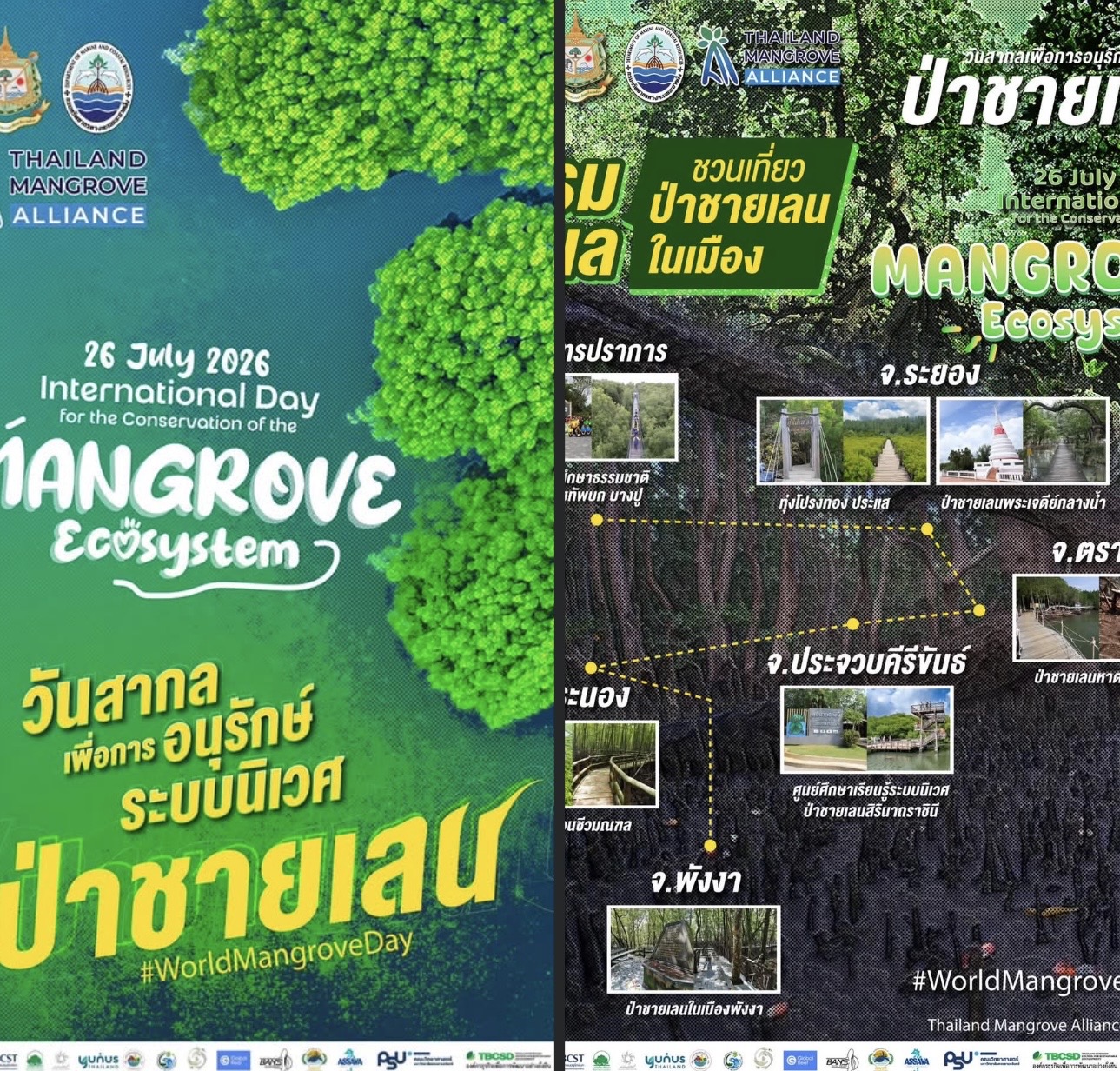 26 กรกฎาคม วันป่าชายเลนโลก (International Day for the Conservation of the Mangrove Ecosystem)