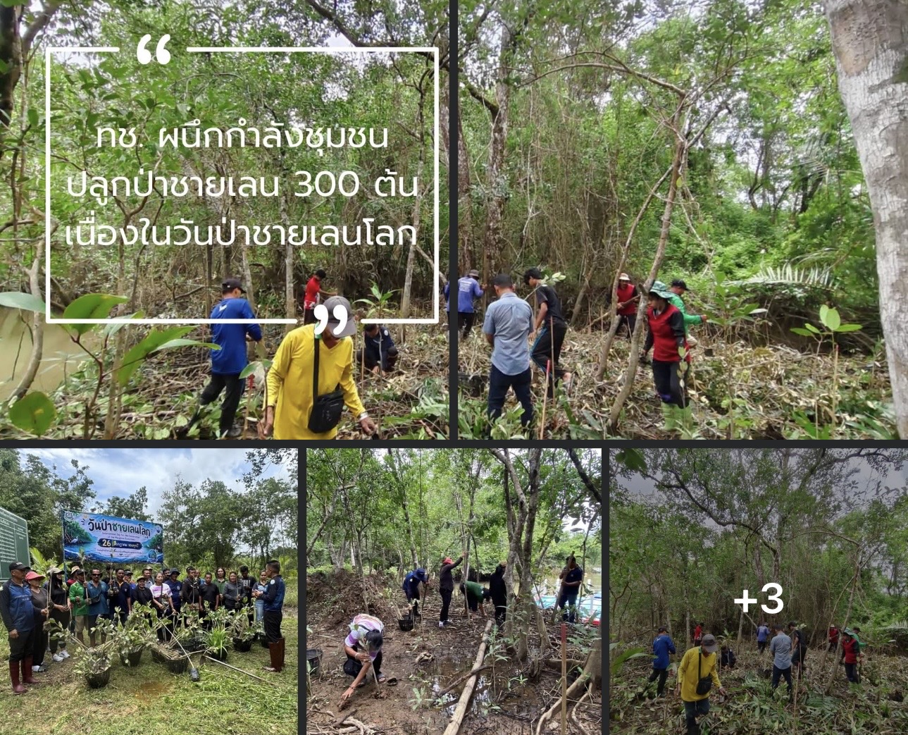 ปลูกวันนี้ เพื่อทะเลและโลกที่ยั่งยืน ทช. ผนึกกำลังชุมชน ปลูกป่าชายเลน 300 ต้น เนื่องในวันป่าชายเลนโลก