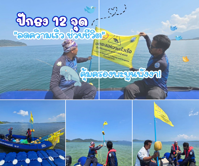 ทช. ปักธง 12 จุด "ลดความเร็ว ช่วยชีวิต" คุ้มครองพะยูนพังงา!