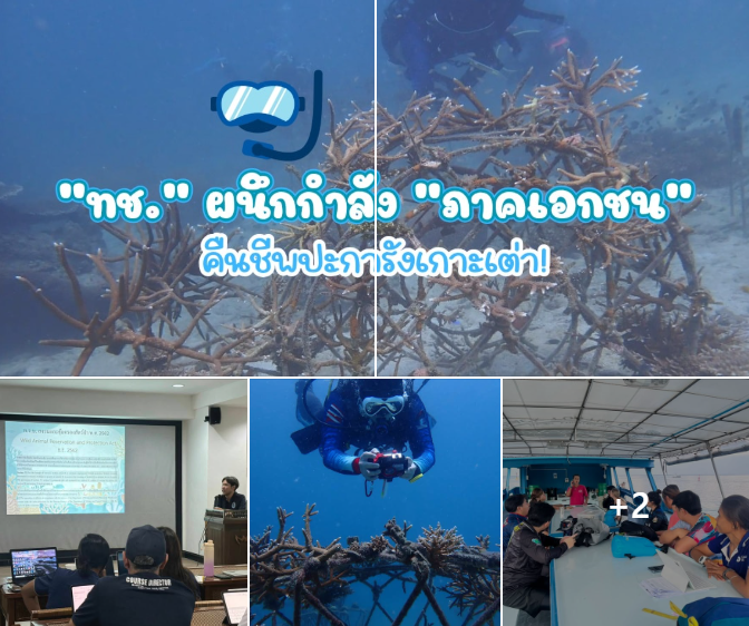 ทช. ผนึกกำลัง ภาคเอกชน คืนชีพปะการังเกาะเต่า!