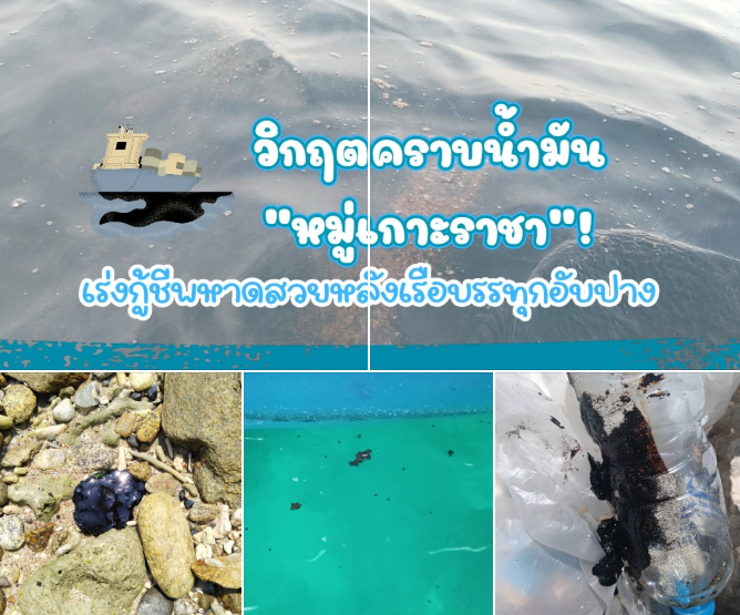 วิกฤตคราบน้ำมันถล่ม "หมู่เกาะราชา"! เร่งกู้ชีพหาดสวยหลังเรืออับปาง