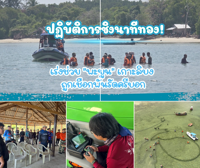 ปฏิบัติการชิงนาทีทอง! เร่งช่วย "พะยูน" เกาะลิบง ถูกเชือกพันรัดครีบอก