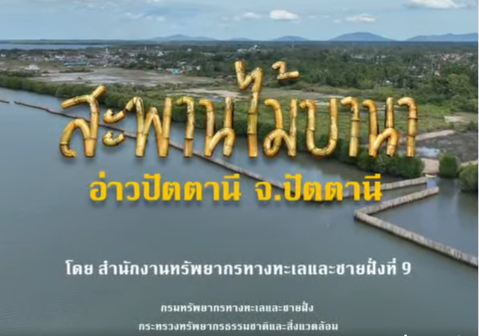 ไม้ไผ่กันคลื่น คืนชีวิตให้ทะเลบานา