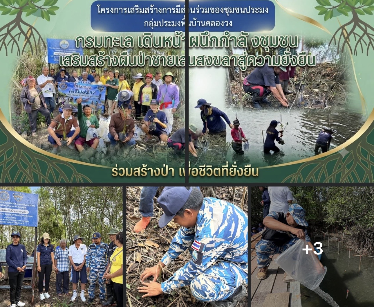กรมทะเล เดินหน้าผนึกกำลังชุมชน เสริมสร้างผืนป่าชายเลนสงขลาสู่ความยั่งยืน