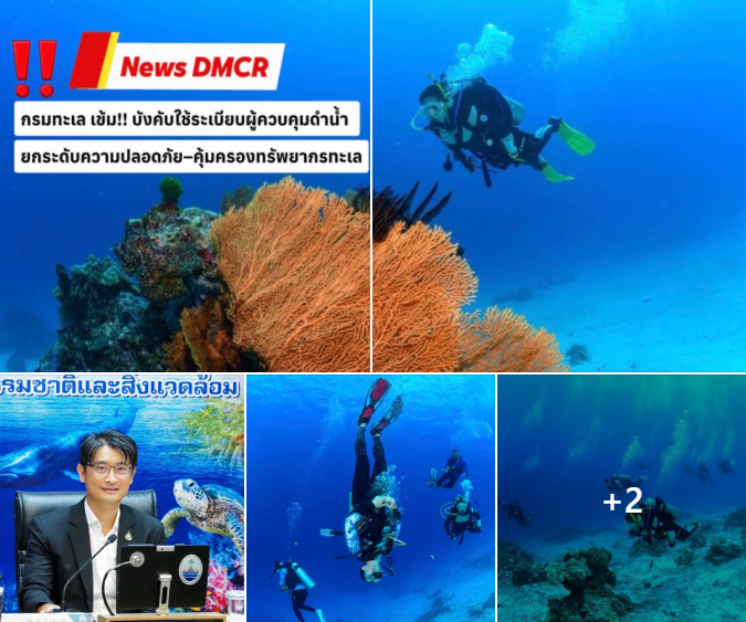 กรมทะเล เข้ม!! บังคับใช้ระเบียบผู้ควบคุมดำน้ำ ยกระดับความปลอดภัย–คุ้มครองทรัพยากรทะเล