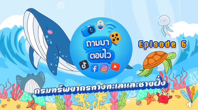 ตอบทุกคำถาม ทันทุกภารกิจ คลายข้อสงสัยให้ประชาชน ทะเล ชายฝั่ง ป่าชายเลน สัตว์ทะเลหายาก