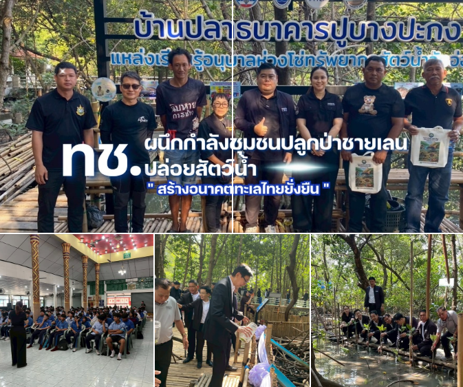 ทช. ผนึกกำลังชุมชนฉะเชิงเทรา ปลูกป่าชายเลน–ปล่อยสัตว์น้ำ สร้างอนาคตทะเลไทยอย่างยั่งยืน