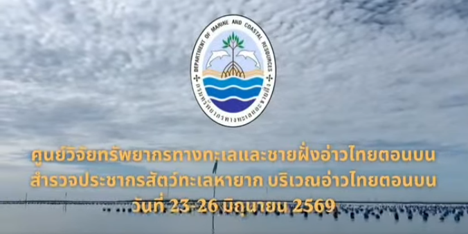 กรมทะเล เผยผลสำรวจ “วาฬบรูด้า–โลมาอิรวดี” อ่าวไทยตอนบน พบวาฬบรูด้า 13 ตัว พร้อมติดตามสุขภาพแม่วาฬและลูกอย่างใกล้ชิด