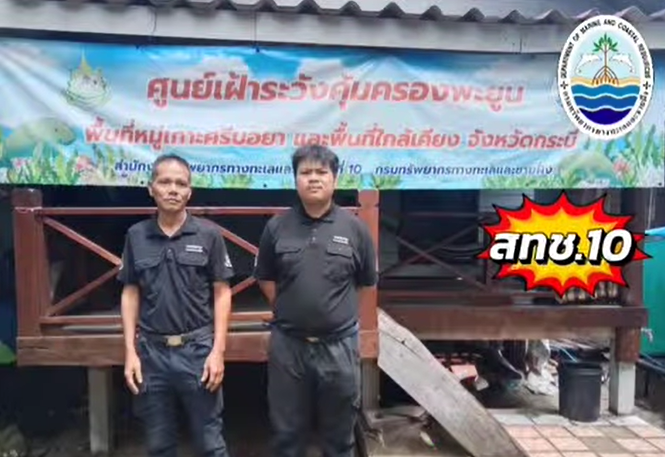 กรมทะเลชายฝั่ง โดย สทช.10 ปฏิบัติงานประจำศูนย์เฝ้าระวังคุ้มครองพะยูนในพื้นที่จังหวัดกระบี่ ติดตามสถานการณ์สัตว์ทะเลหายาก พะยูน พื้นที่หมู่เกาะศรีบอยา ต.เกาะศรีบอยา อ.เหนือคลอง จ.กระบี่ และพื้นที่ใกล้เคียง