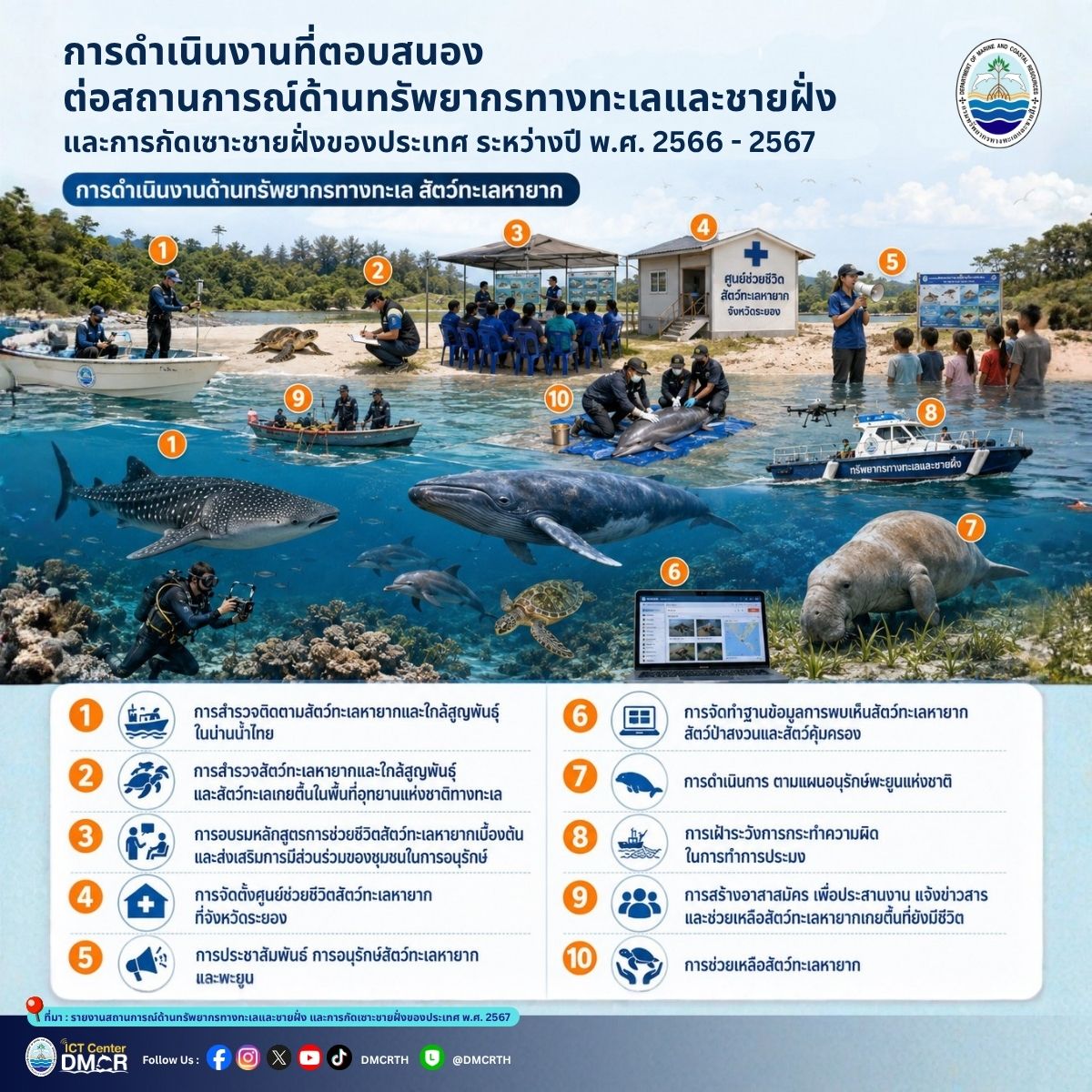 สรุป 10 ภารกิจพิทักษ์ "สัตว์ทะเลหายาก" ของไทย ปี 2566-2567 เดินหน้าช่วยชีวิต-ตั้งศูนย์พยาบาล-สำรวจประชากร